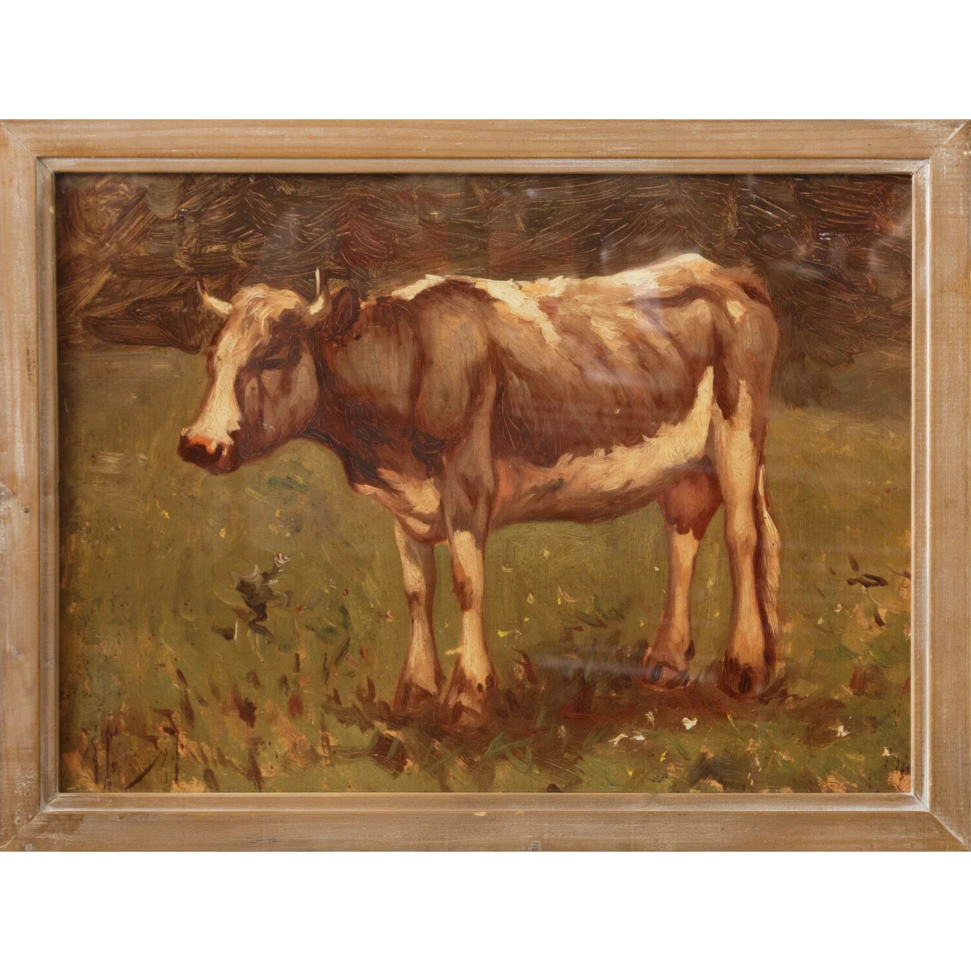 Grazing Bull In Field Framed Print 19.5" x 26"
