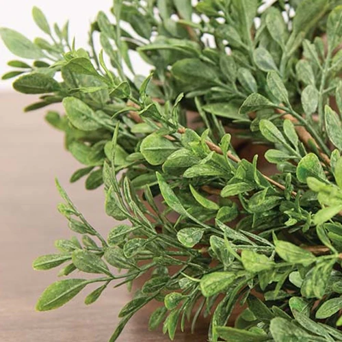 💙 Heritage Boxwood 8" Faux Foliage Ring - Image 3