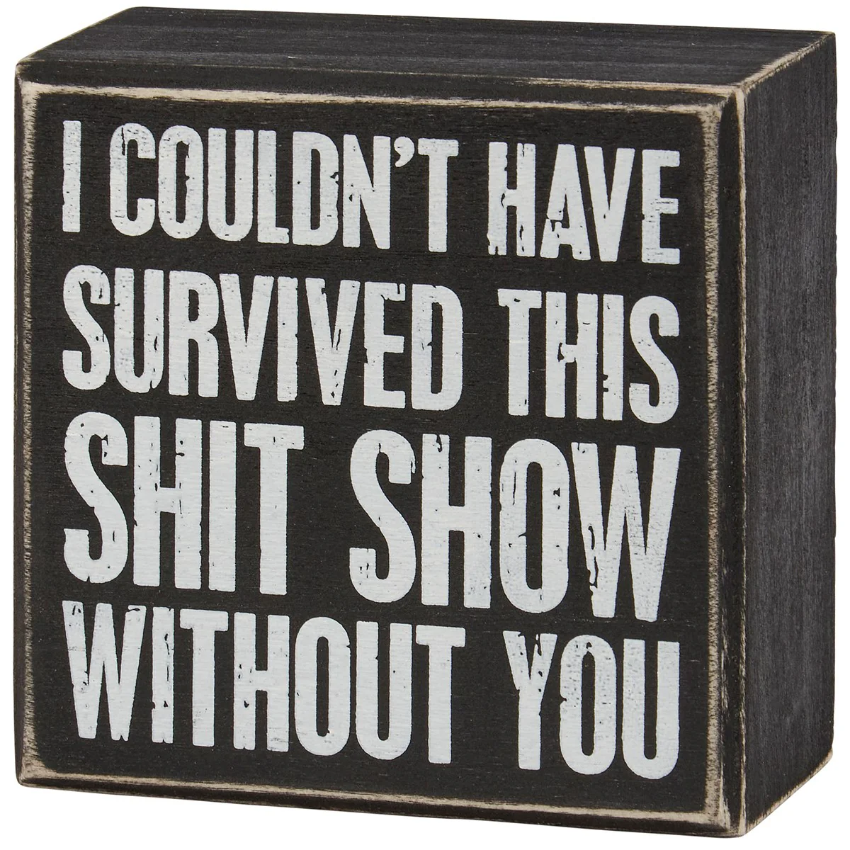 I Couldn't Have Survived This Without You 4" Mini Box Sign