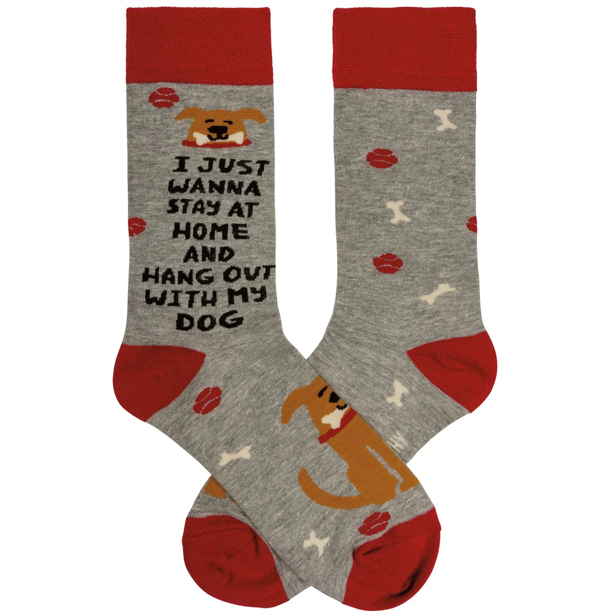 💙 I Just Wanna Hang With My Dog Unisex Fun Socks - Image 2