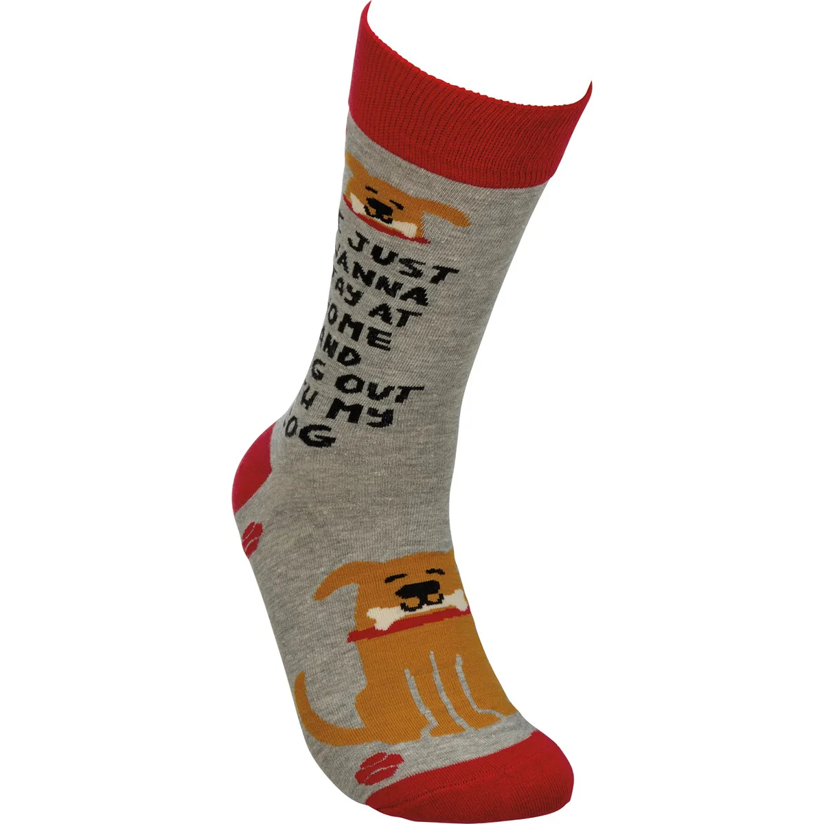 💙 I Just Wanna Hang With My Dog Unisex Fun Socks - Image 3