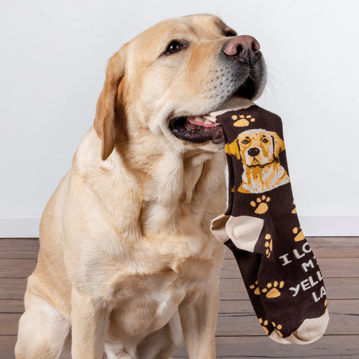 ๐ I Love My Yellow Lab Unisex Fun Socks - Image 5