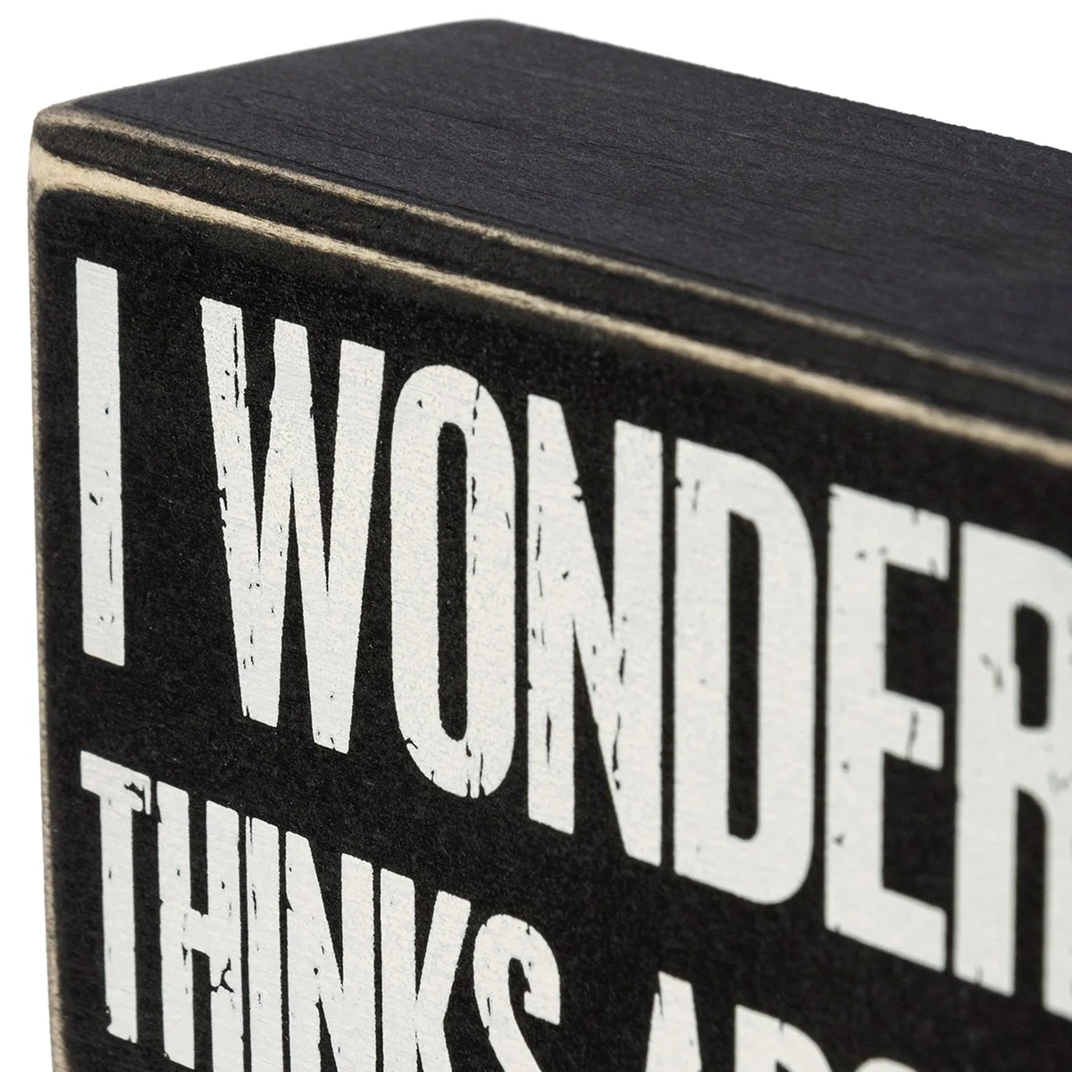 I Wonder If Beer Thinks About Me Too Wooden Box Sign - Image 4