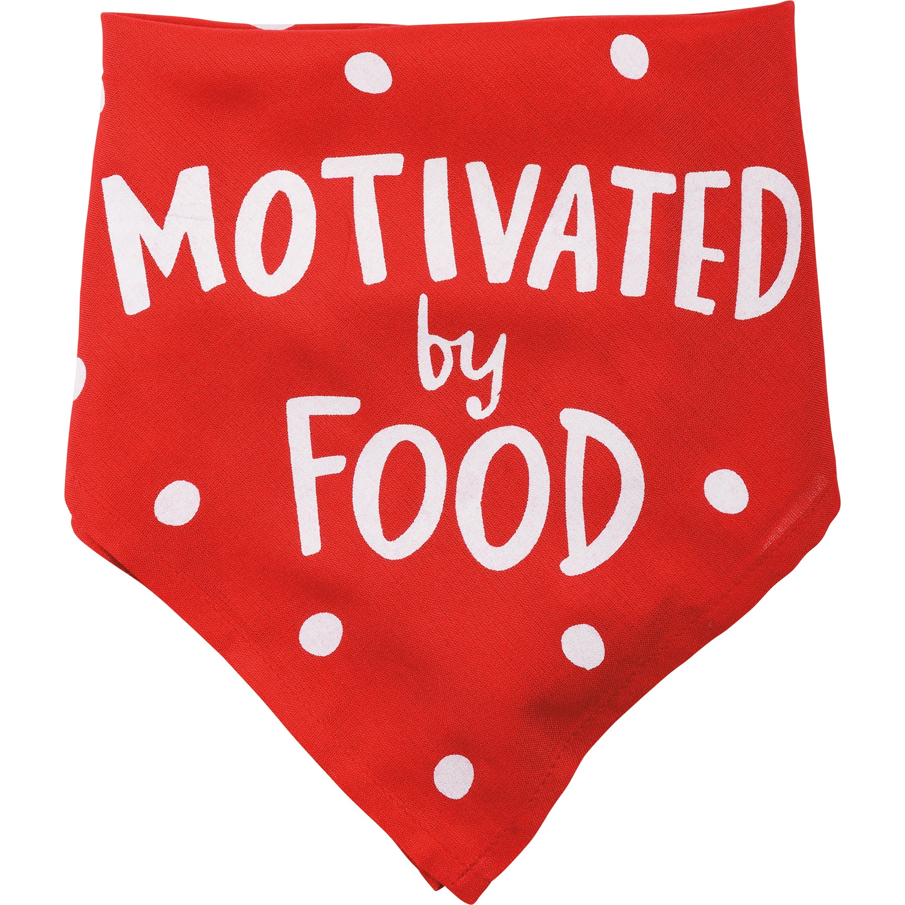๐ I'll Be Watching You Motivated by Food Large Dog Pet Bandana - Image 4