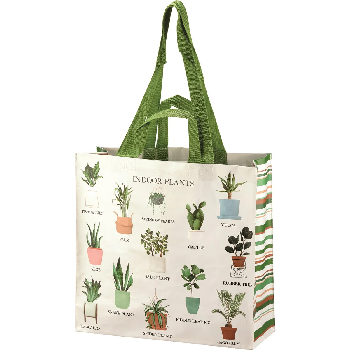 💙 Indoor Houseplants Market Tote Reusable