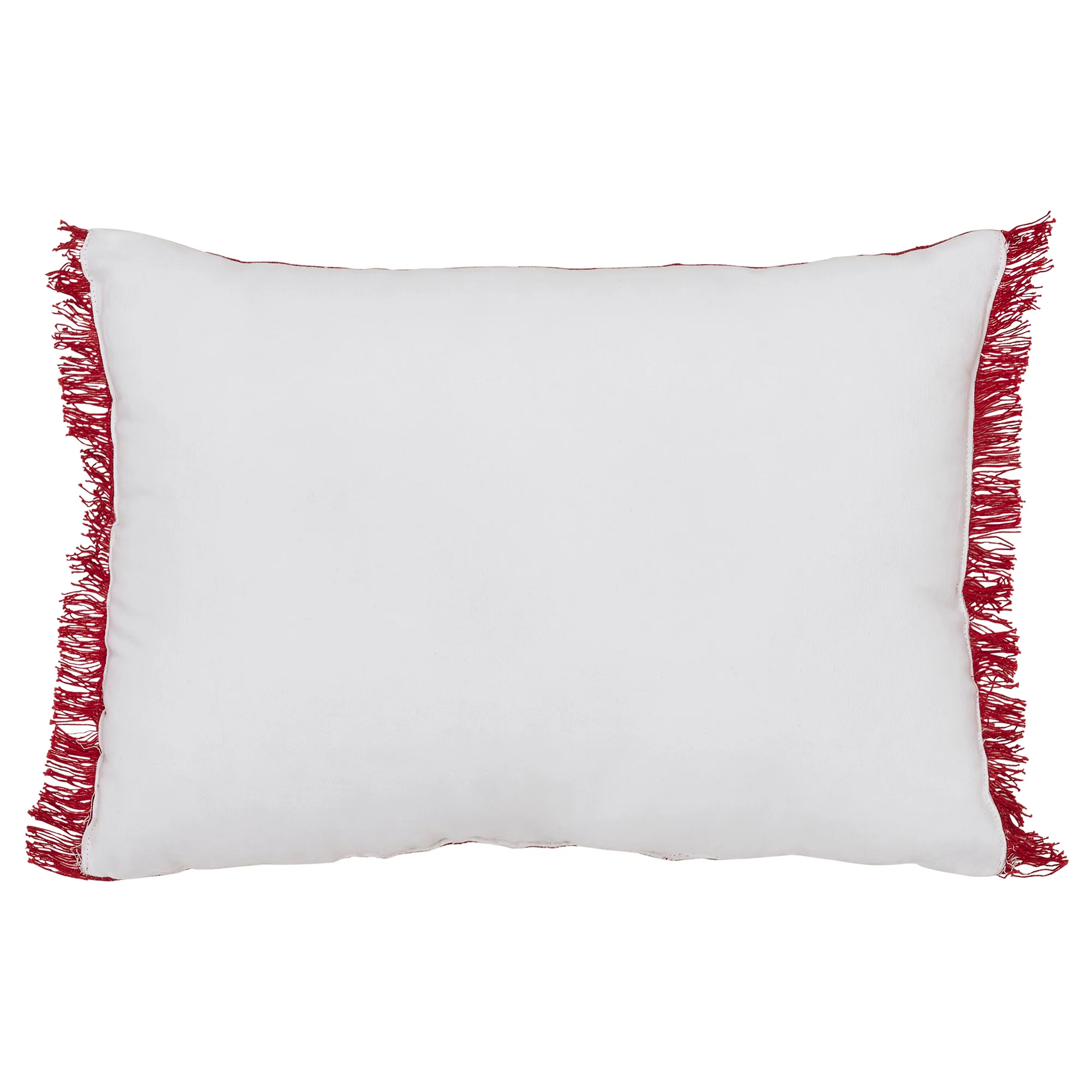 Joy to the World Fringed Accent Pillow - Image 3