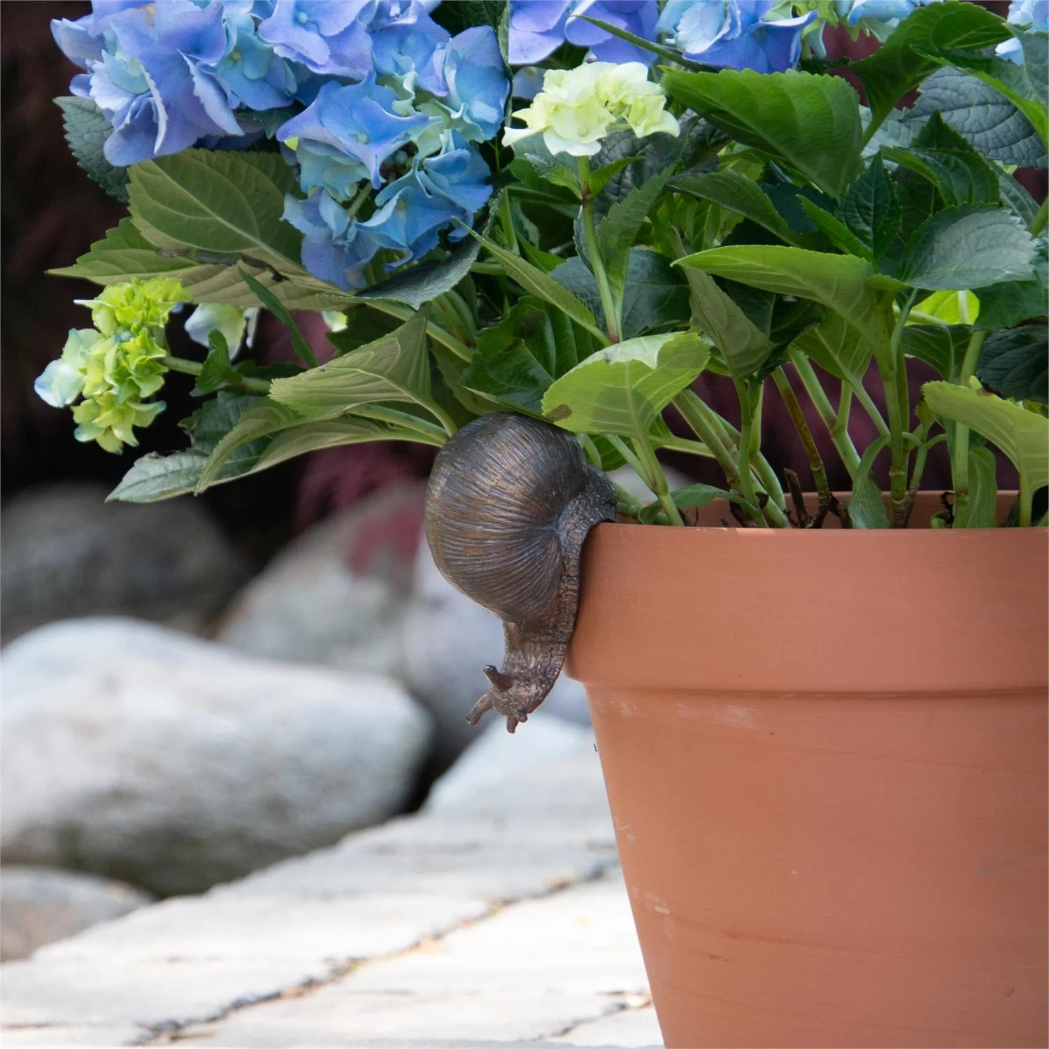Lil' Small Snail Pot Hugger Figure - Image 4