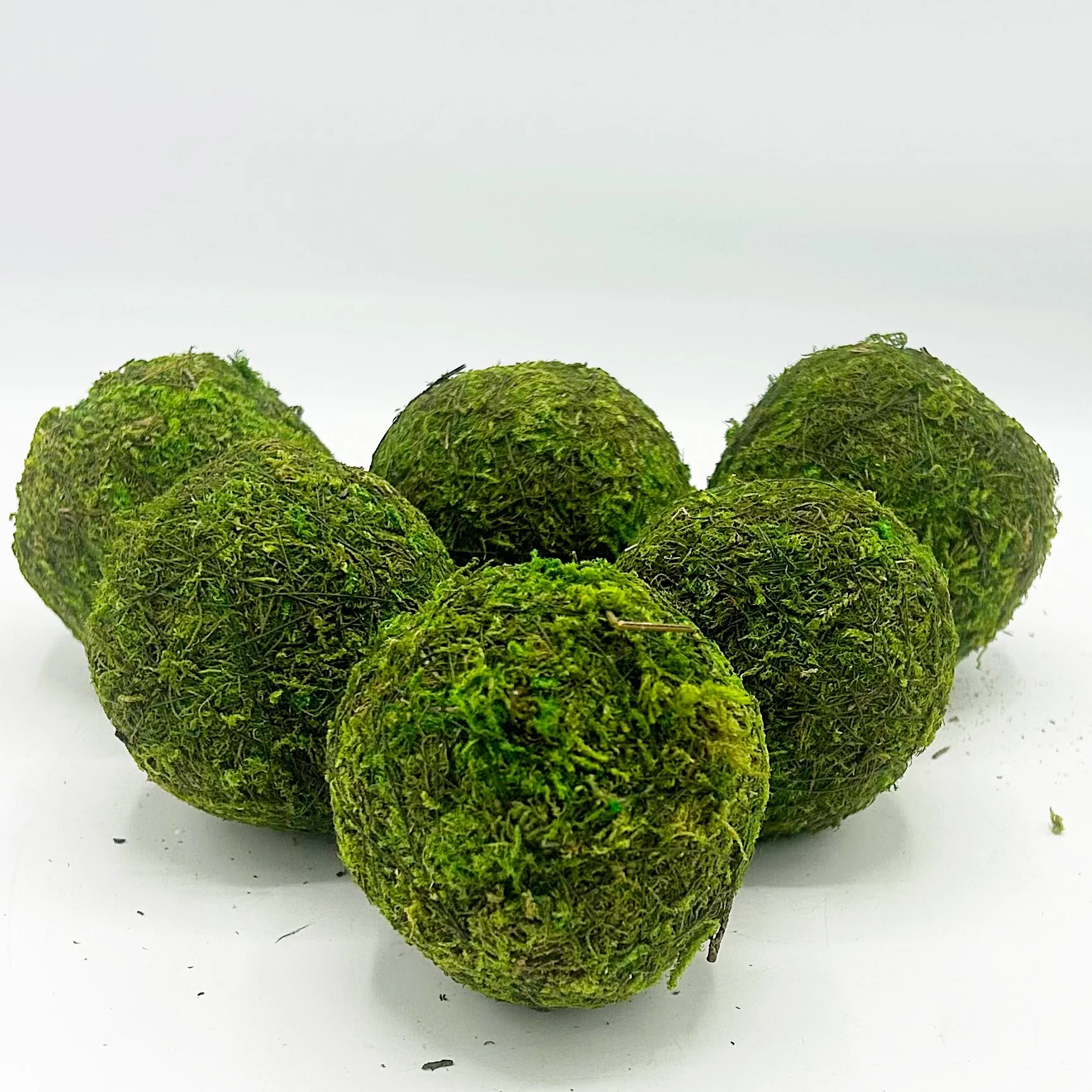 ๐ Lot of 6 Moss 3" Decorative Balls