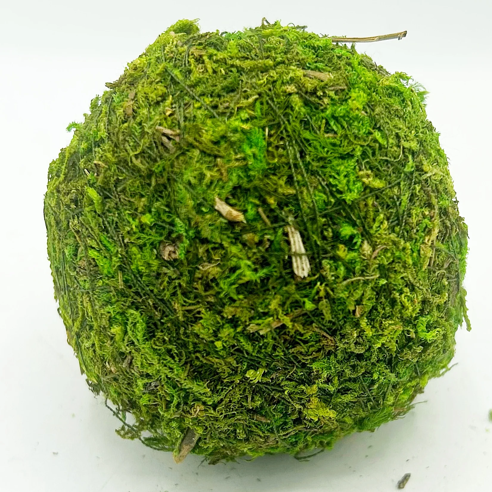 ๐ Lot of 6 Moss 3" Decorative Balls - Image 4