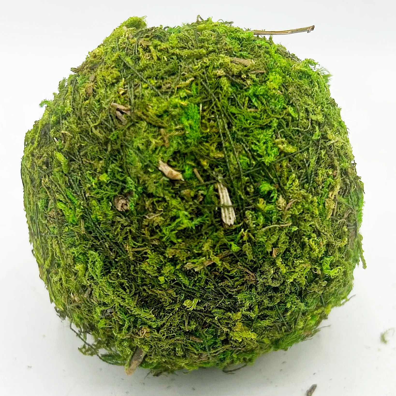 ๐ Lot of 6 Moss 3" Decorative Balls - Image 5