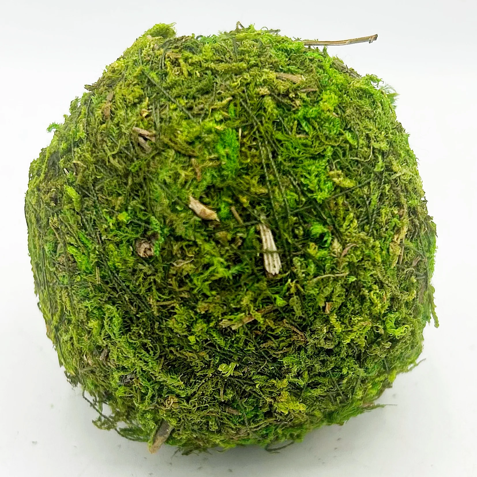 ๐ Lot of 6 Moss 3" Decorative Balls - Image 6