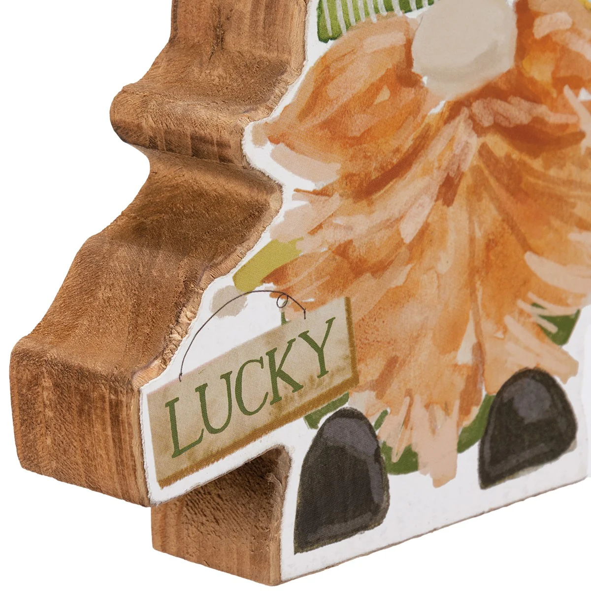 ๐ Lucky The Leprechaun St Patrick's Day Shelf Sitter - Image 3