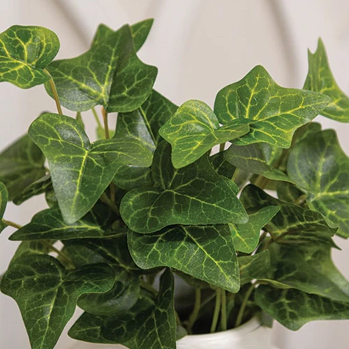 Lush Ivy 13" Faux Foliage Bush - Image 3
