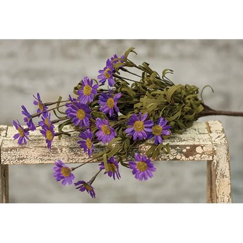 Mini Mountain Purple Daisy Bush Pick