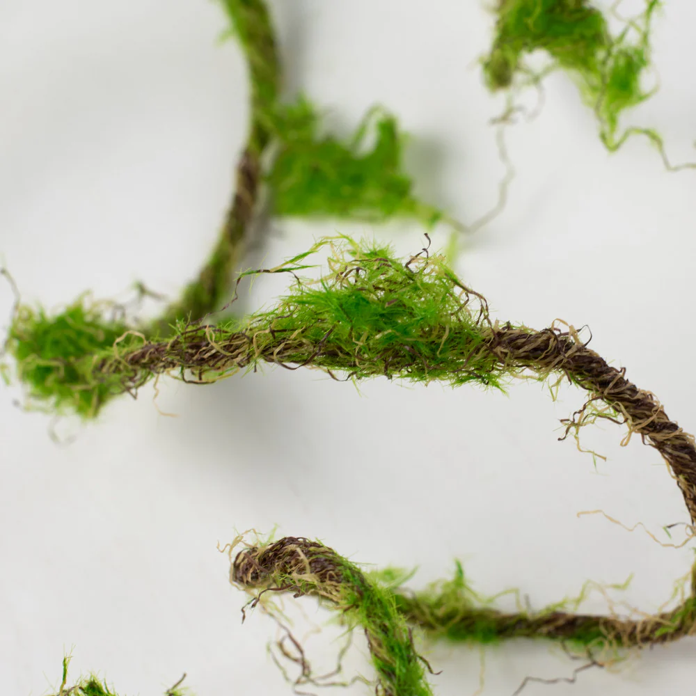 Moss Vine Garland 79" Streamer - Image 3