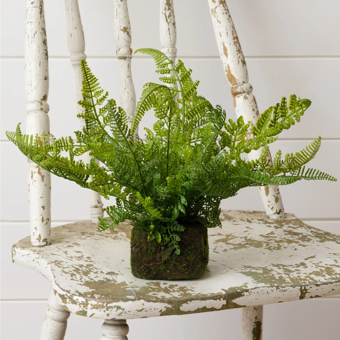 Mossy Faux Fern 10" Botanical Decor