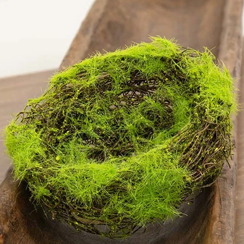 ๐ Mossy Vine 6" Faux Bird Nest - Image 3