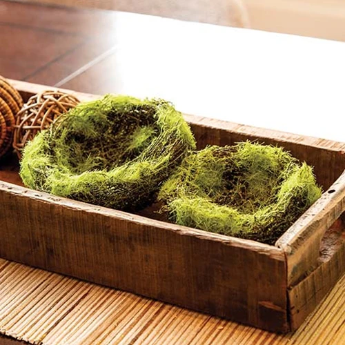 ๐ Mossy Vine 6" Faux Bird Nest - Image 4