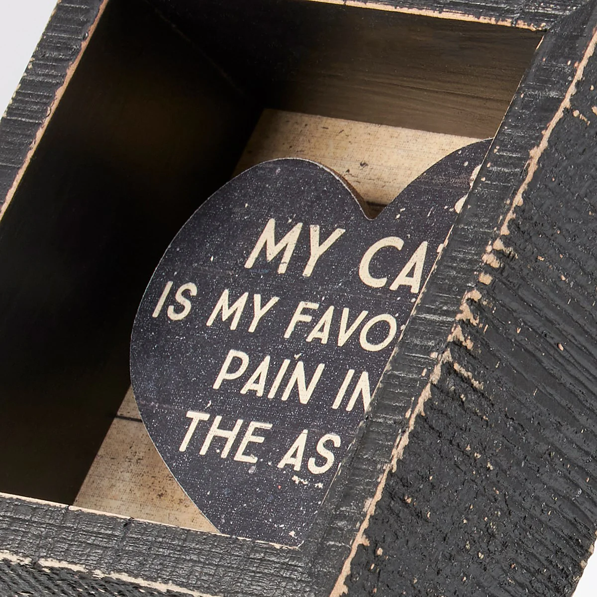 My Cat Is My Favorite Pain 4" Wooden Box Sign - Image 4