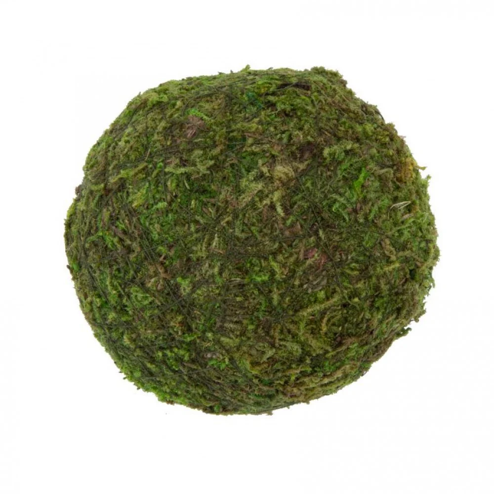 ๐ Natural Decorative Green/Brown Moss 3" Ball