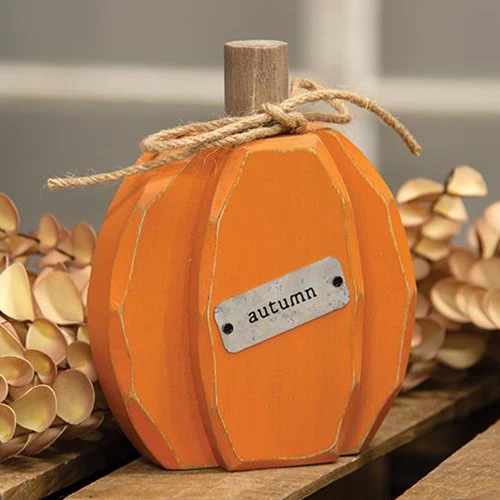 ๐ Orange Autumn Pumpkin Chunky Sitter