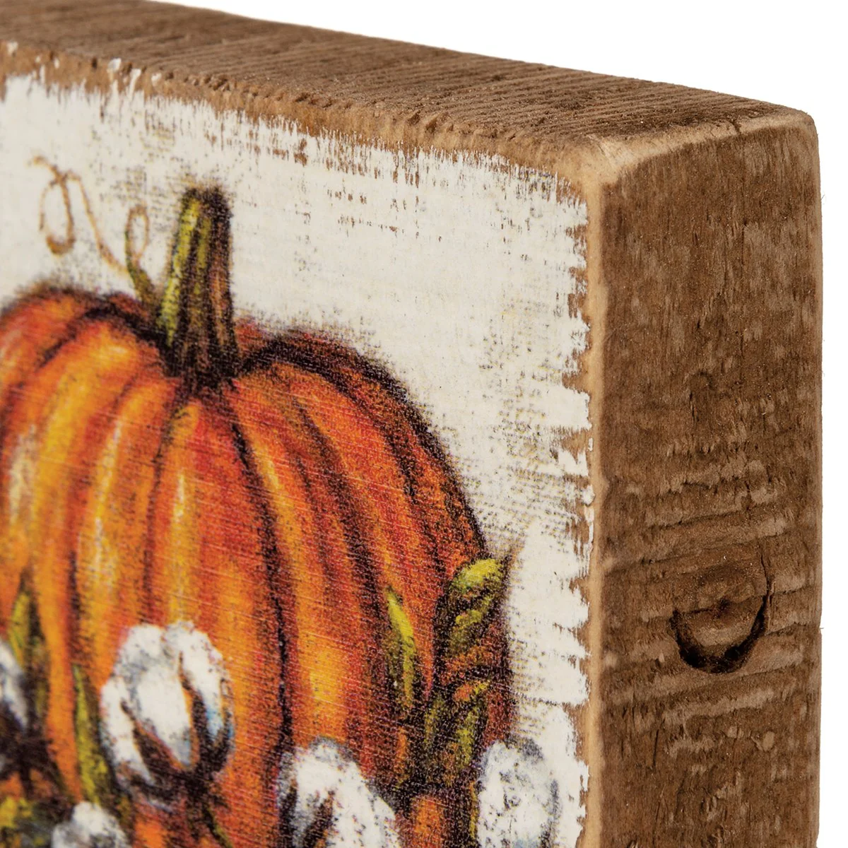 ๐ Orange Pumpkin With Cotton Small 3.25" Block Sign - Image 3