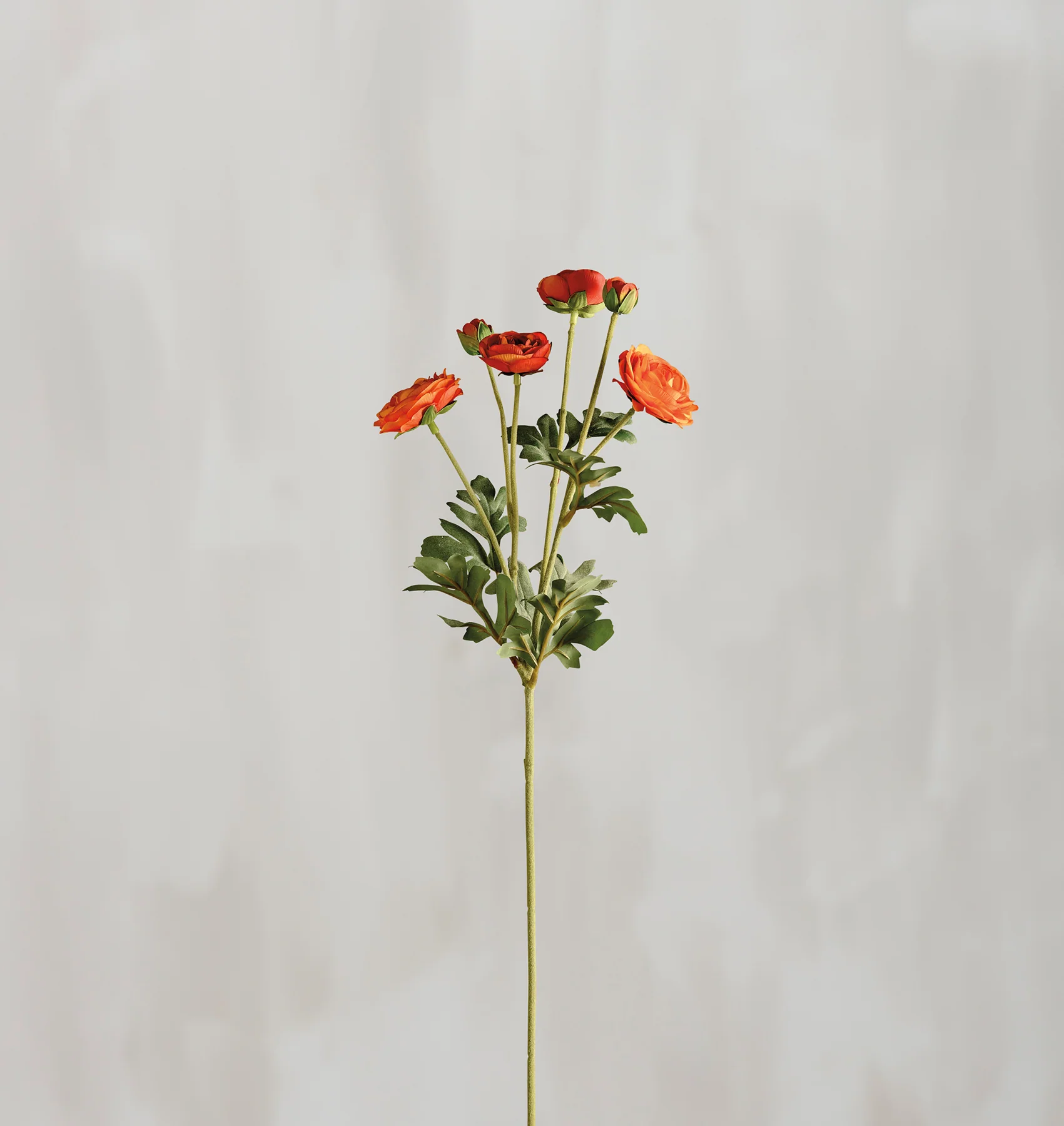 ๐ Orange Ranunculus 26" Faux Floral Stem - Image 2