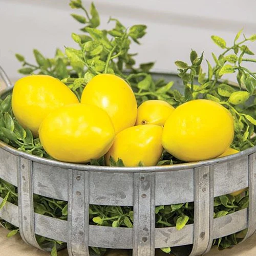Package of 8 Mini Faux Lemon Fillers