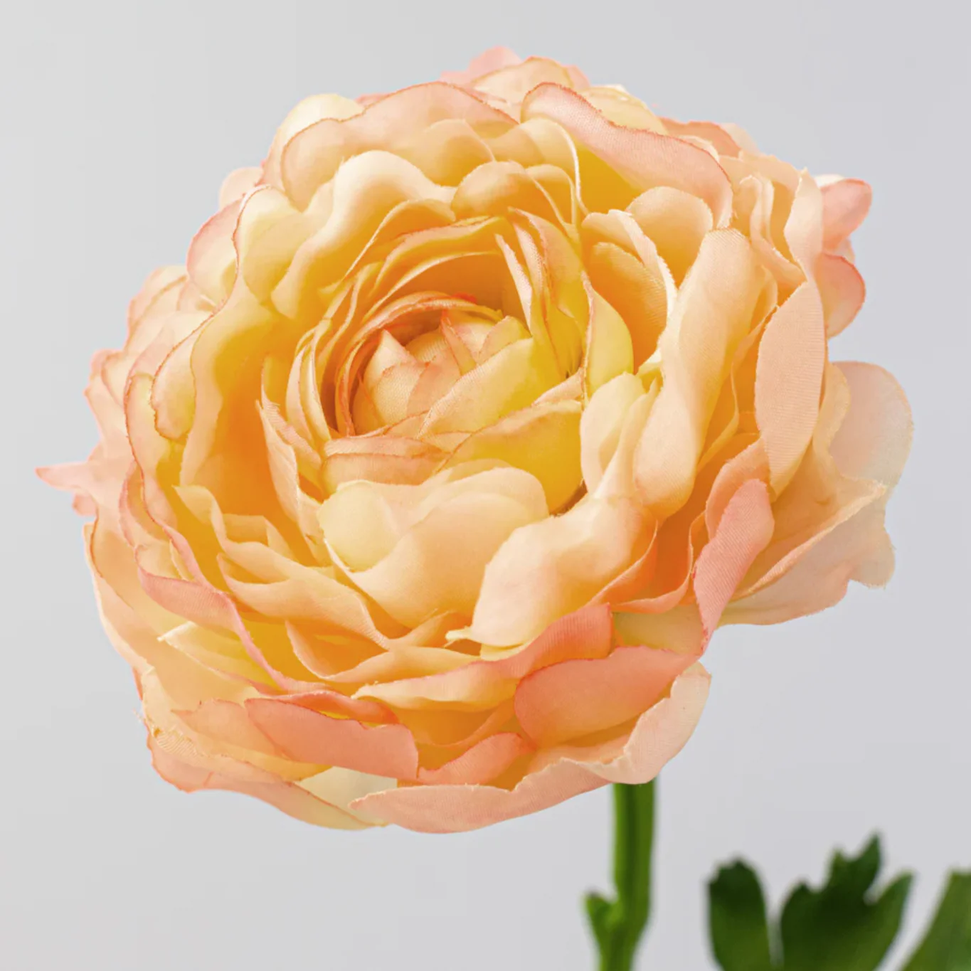 Peach Yellow Ranunculus 20" Faux Floral Stem - Image 2