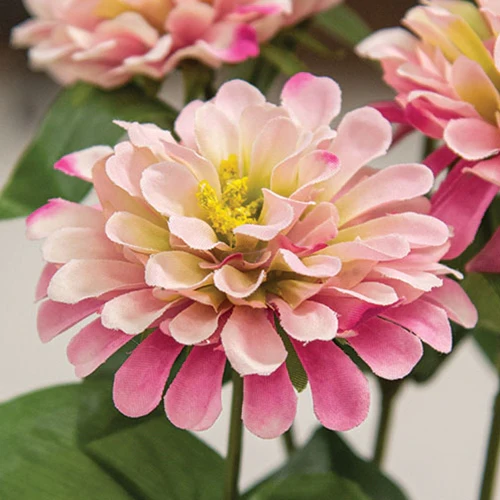 Pink Zinnia 23.5" Faux Floral Spray - Image 3