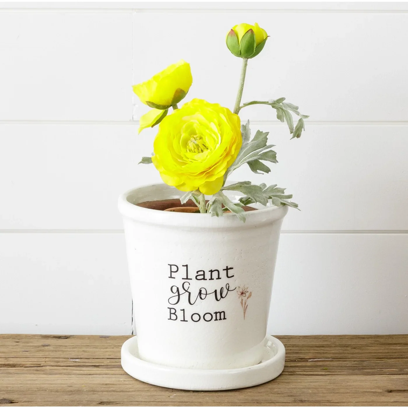 Plant, Grow, Bloom Ceramic Pot with Saucer - Image 2