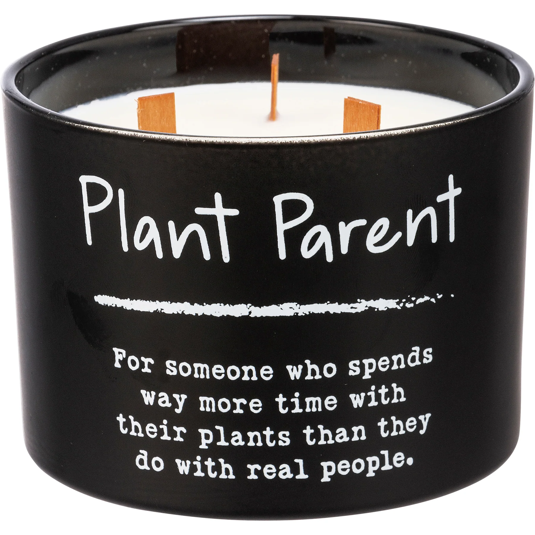 💙 Plant Parent 14 oz Wood Wick Jar Candle - Image 2