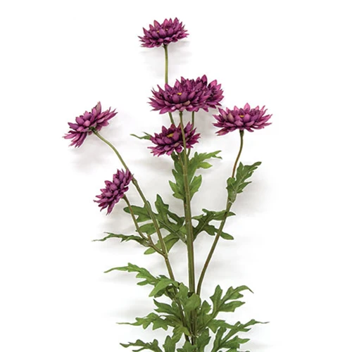 Plum Strawflower 25" Faux Floral Spray - Image 2