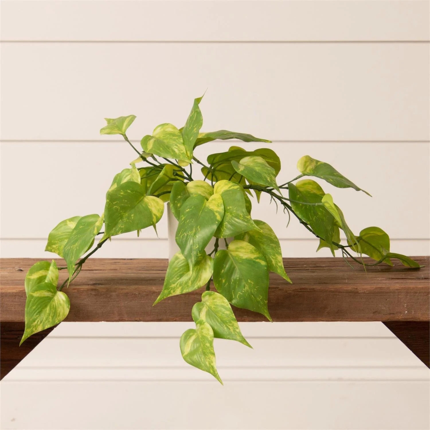 Potted Philodendron Small Faux Foliage Plant