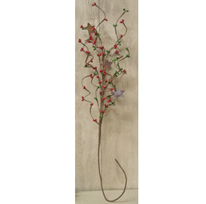 ๐ Red & Green Pip Berries & Rusty Star 24" Spray