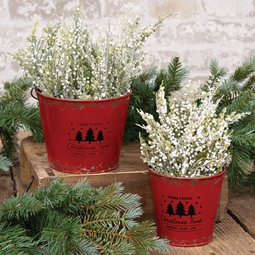 Set of 2 Farm Fresh Christmas Trees Distressed Red Metal Buckets - Image 4
