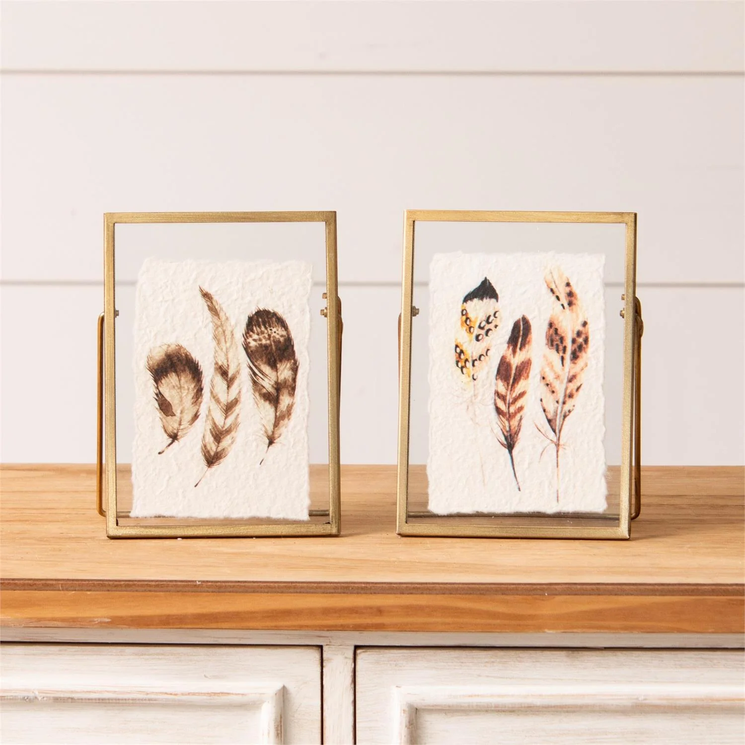 Set of 2 Feather Prints in Gold Frames