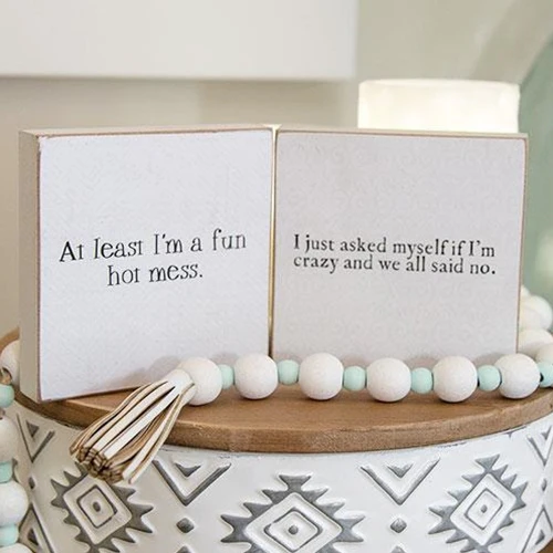 π Set of 2 Fun Hot Mess and Crazy 4" Square Wood Block Signs