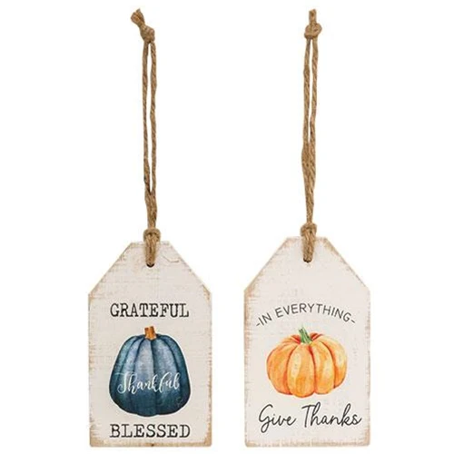 Set of 2 Grateful and Give Thanks Pumpkin Wood Tag Signs - Image 4