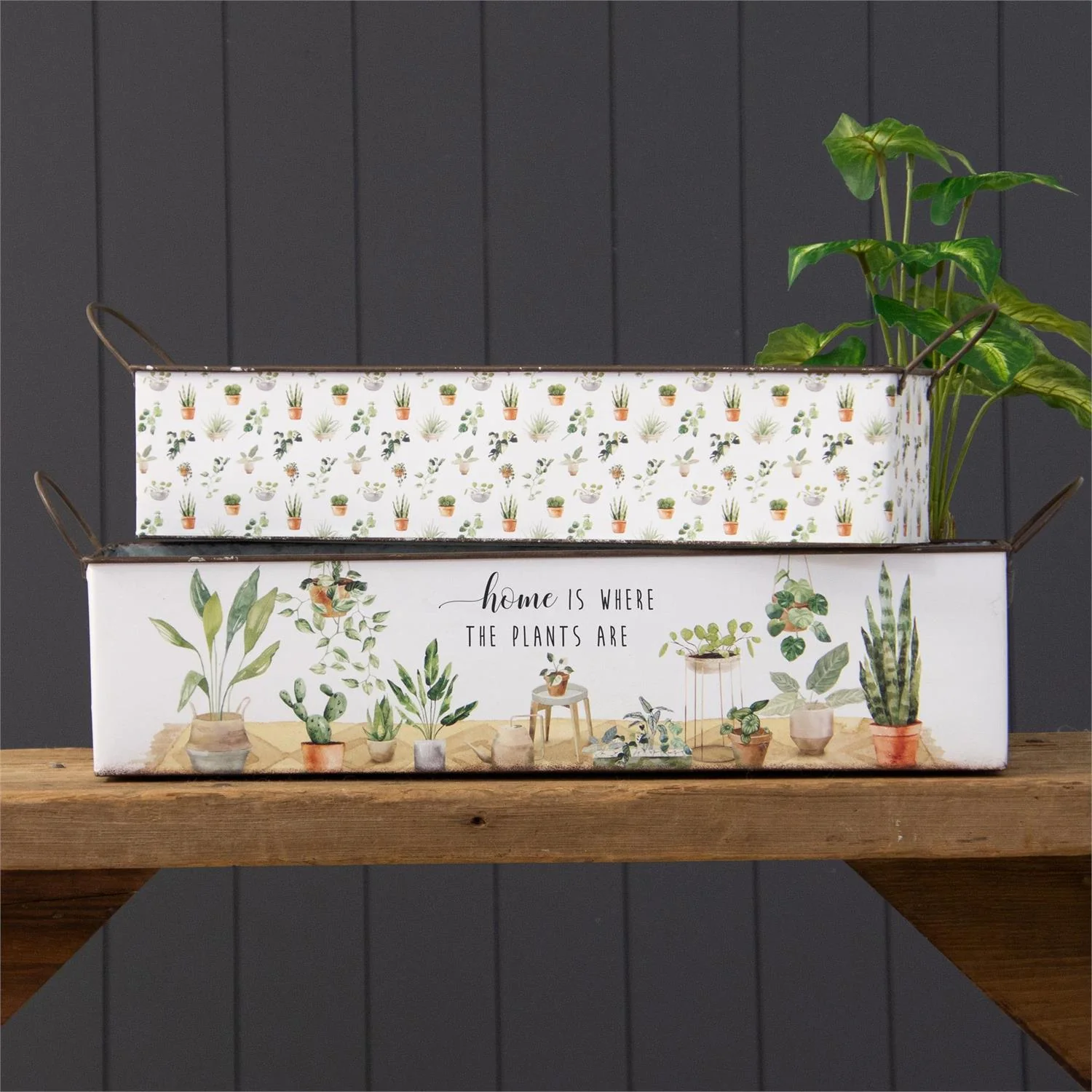 Set of 2 Home Is Where The Plants Are Nesting Tins