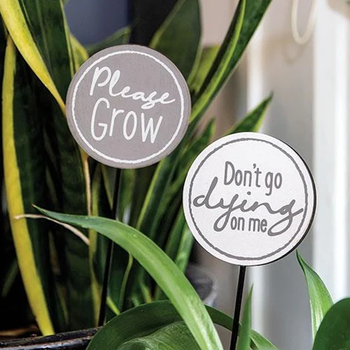 Set of 2 Please Grow and Don't Go Dying On Me Plant Stakes