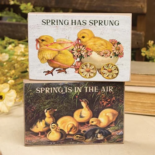 Set of 2 Spring Has Sprung Vintage Chick Block Signs
