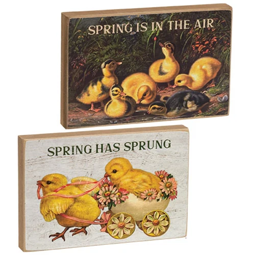 Set of 2 Spring Has Sprung Vintage Chick Block Signs - Image 2