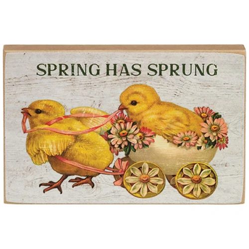 Set of 2 Spring Has Sprung Vintage Chick Block Signs - Image 3