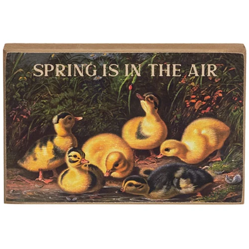 Set of 2 Spring Has Sprung Vintage Chick Block Signs - Image 4