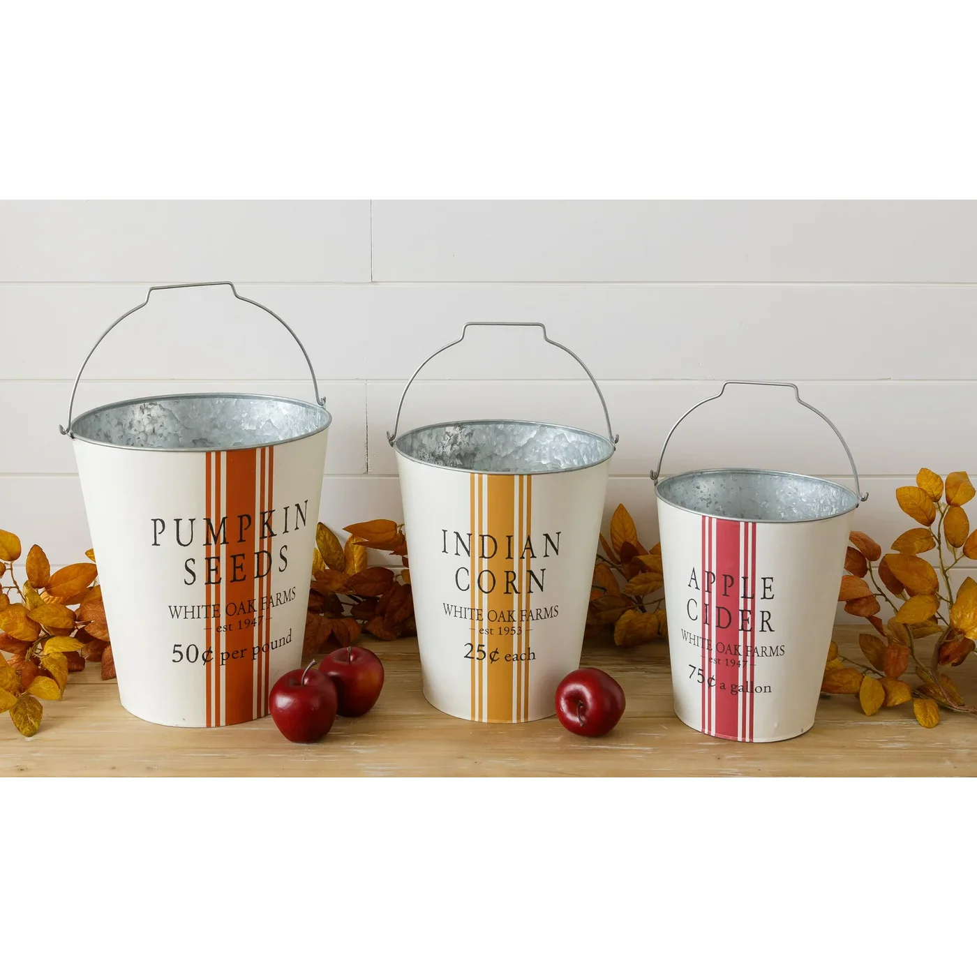 Set of 3 Buckets Pumpkin Seeds Indian Corn and Apple Cider