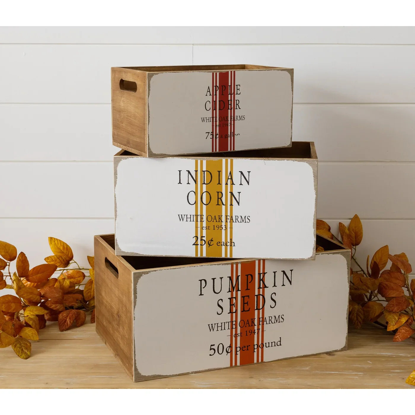 Set of 3 Fall Crates Pumpkin Seeds Indian Corn and Apple Cider