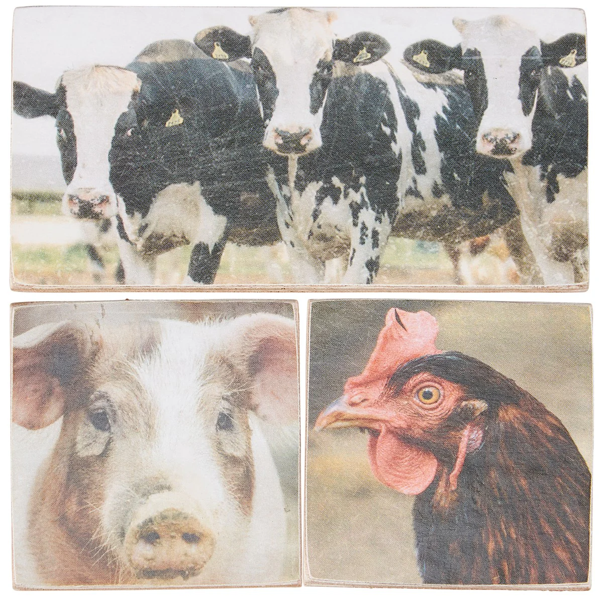 Surprise Me Sale 🤭 Set of 3 Farm Animals Cow Pig Chicken Magnet Set - Image 3