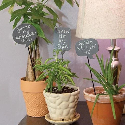 💙 Set of 3 Houseplant Sayings Stakes - Image 2