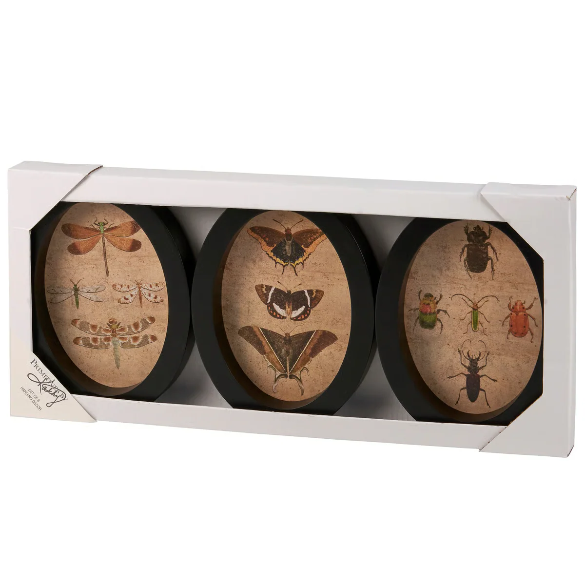 Set of 3 Insect Study Hanging Framed Decor - Image 4